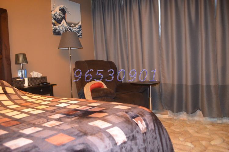 Blk 97 Whampoa Drive (Kallang/Whampoa), HDB 3 Rooms #158499542